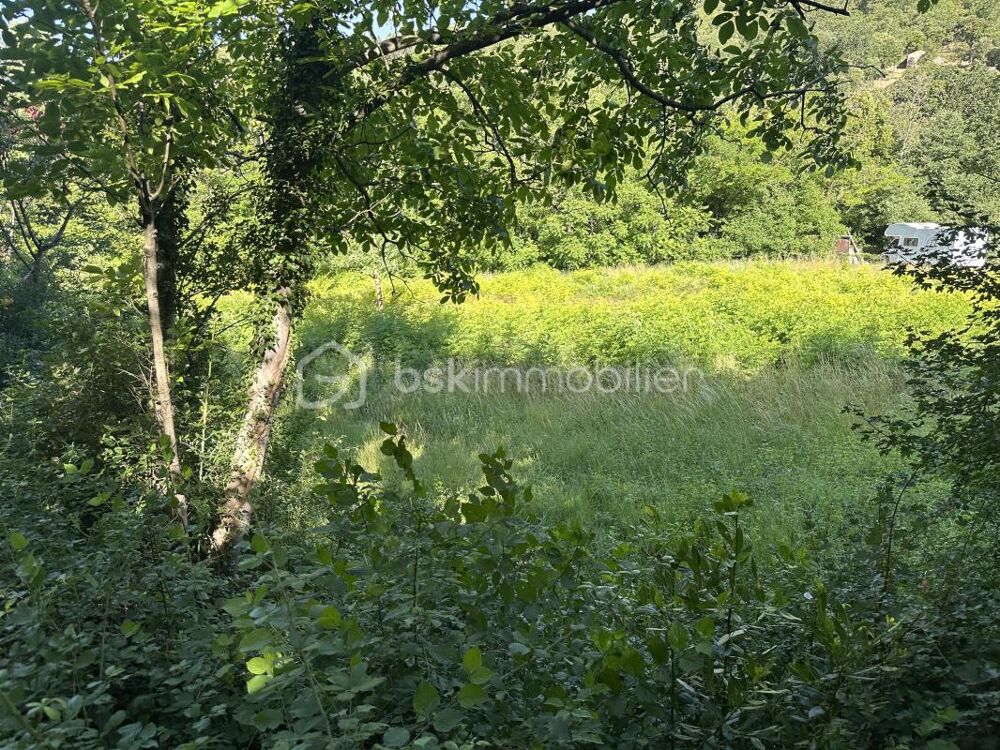 Vente Terrain Magnifique terrain de 3955 m2 dont 1400 m2 constructible Saint montan