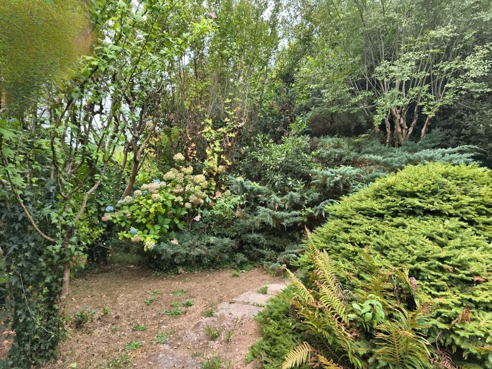 à vendre  Maison Salies-de-Béarn (64270)