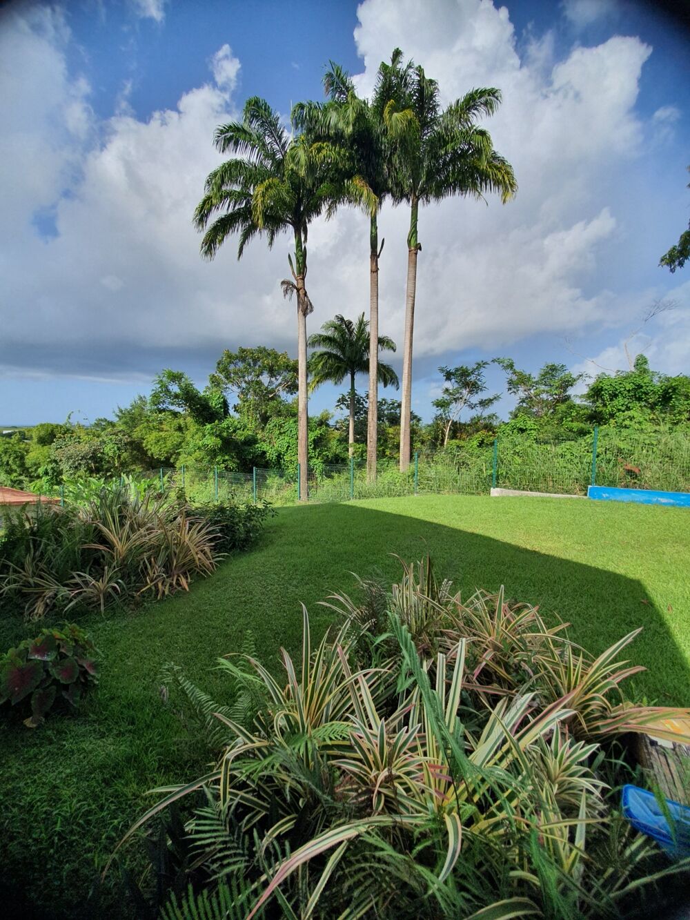 Spacieuse villa architecte P6 vue mer éloignée avec piscine sur 1200 m² de terrain arboré et clos