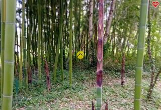  Terrain � vendre 11500 m�