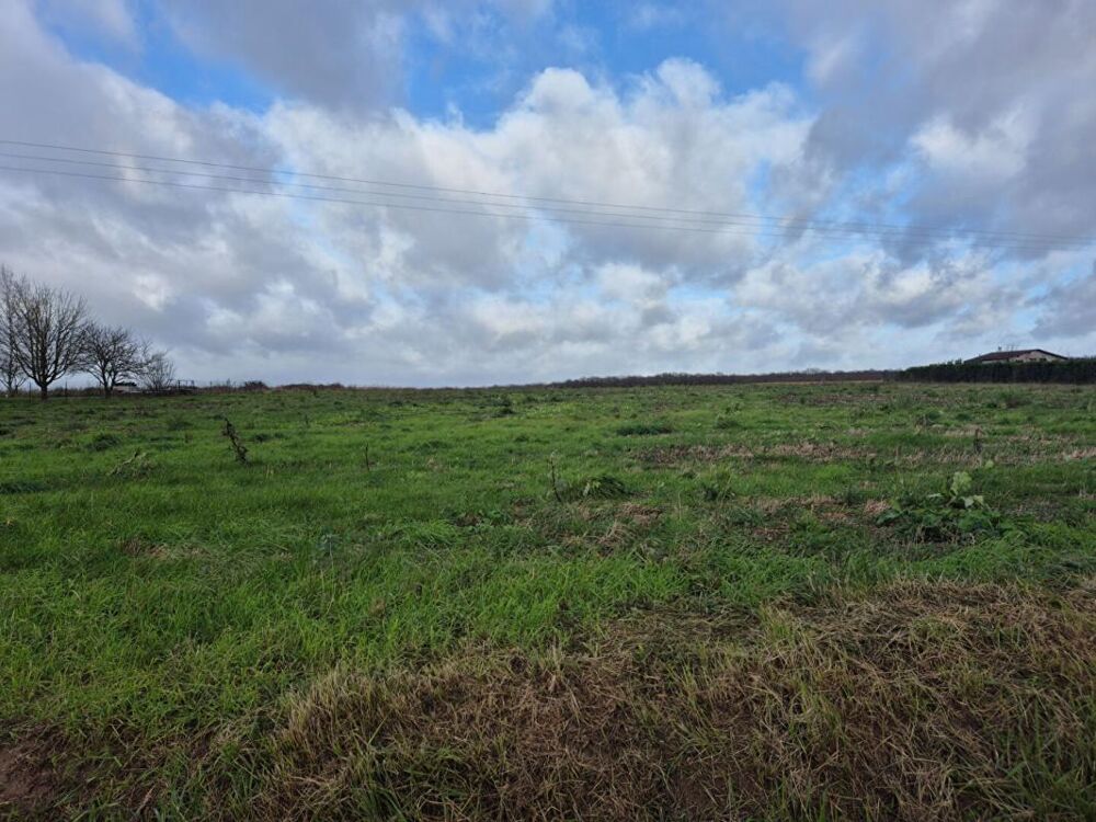 Vente Terrain Terrain constuctible Chateau renault