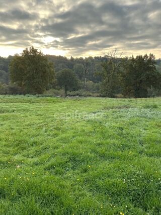  Terrain à vendre 8600 m²