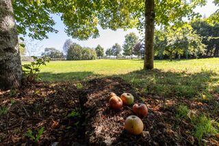  Propri�t�/ch�teau � vendre 10 pi�ces 413 m�