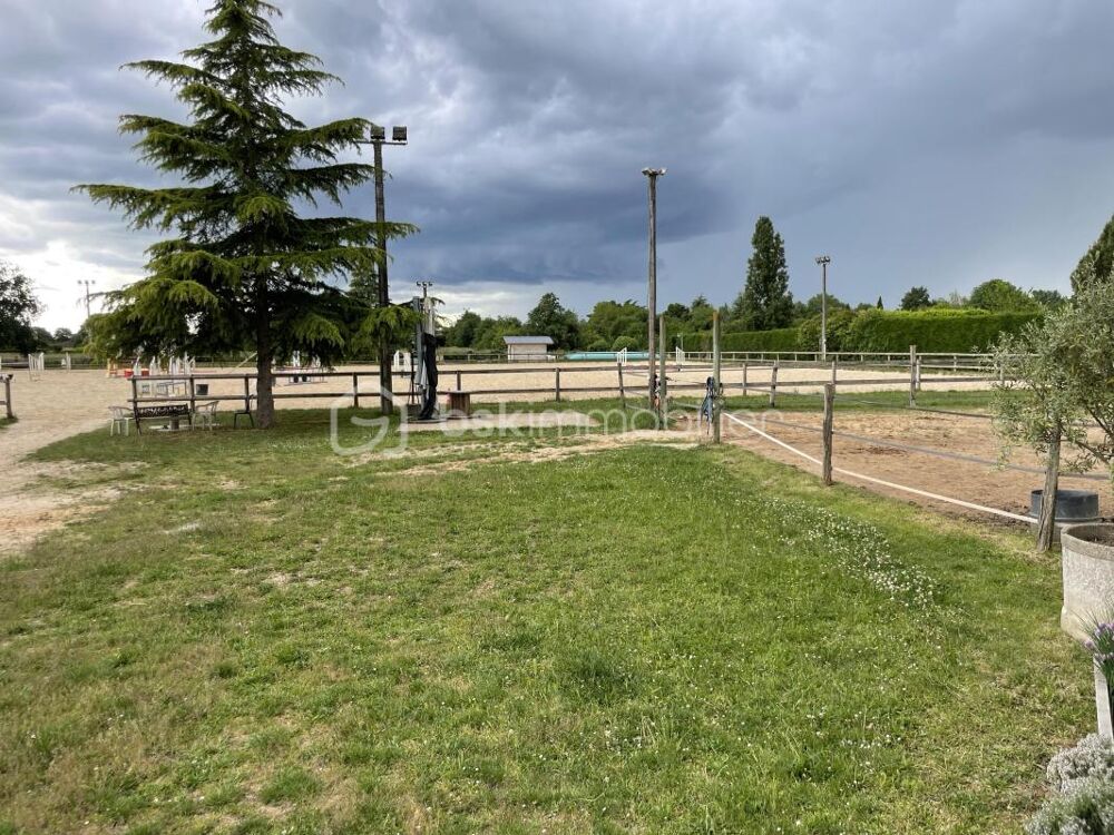 Vente Propriété/Château Très belle propriété équestre active depuis plus de 25 ans sur 7 hectares Montauban