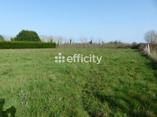  Terrain à vendre 6910 m²