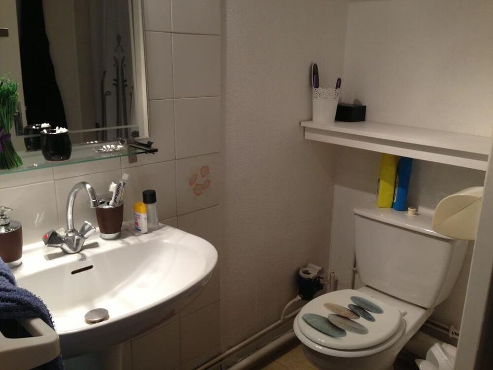 Location Appartement Studio de 24m2 à louer sur Toulouse Toulouse