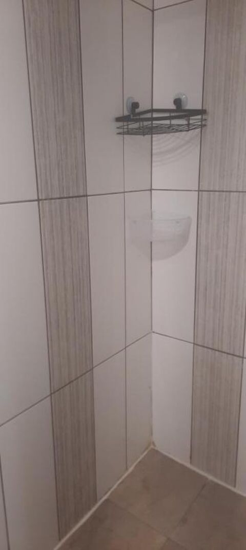  Appartement � louer 1 pi�ce 24 m�