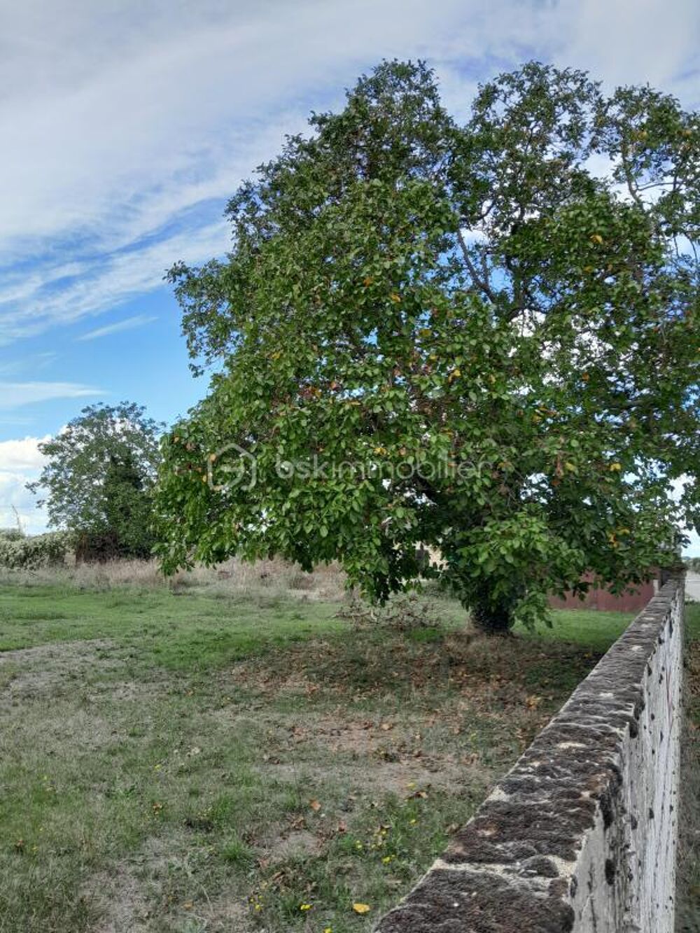 Vente Terrain 86380 SAINT MARTIN LA PALLU Terrain de 570 m2 Vendeuvre du poitou