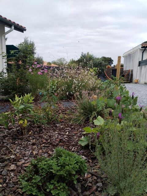  Appartement � louer 1 pi�ce 10 m�