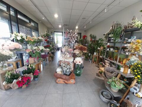   SECTEUR SAINTES - FLEURISTE, PLANTES, DECORATION 