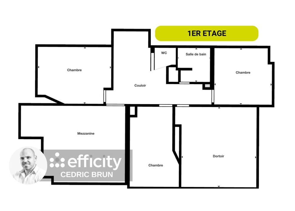 � vendre  Chalet Passy (74190)