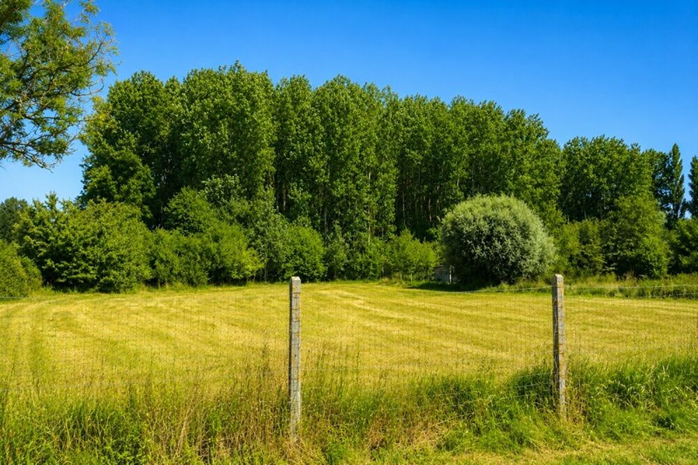 Vente Terrain Terrain à vendre de 3 069,00 m² ROQUETOIRE (62) Roquetoire