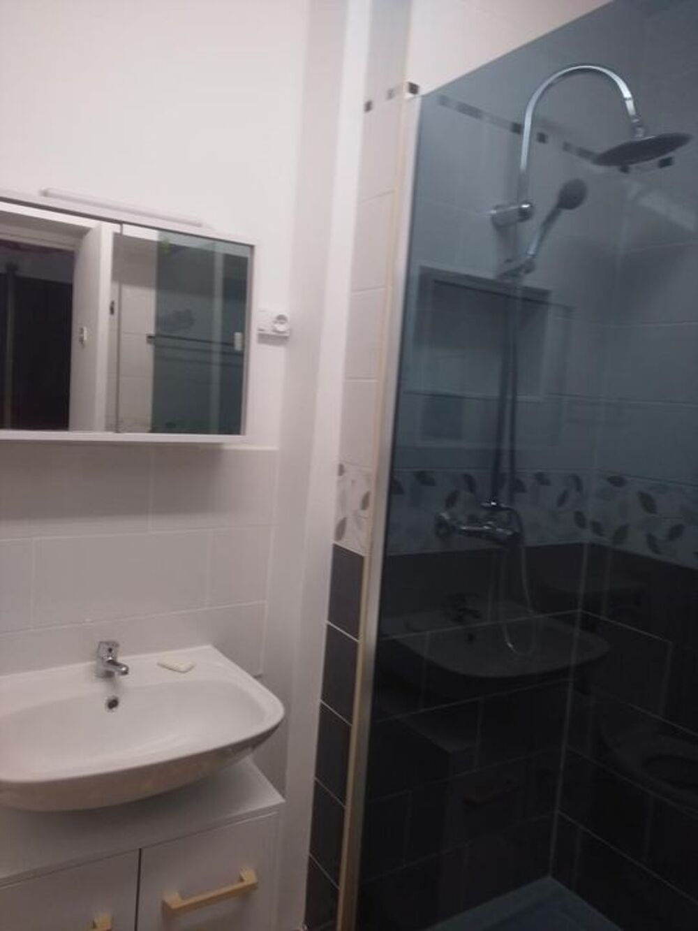 Location Appartement Studio de 35m2 à louer sur Pantin Pantin