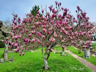  Maison � vendre 4 pi�ces 121 m�