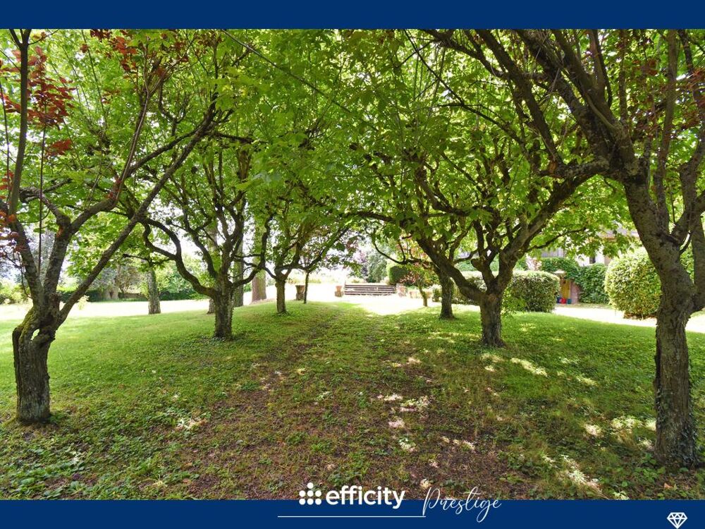 � vendre  Maison Chazelles-sur-Lyon (42140)