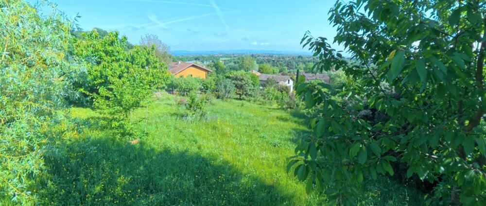 Vente Terrain ? Terrain arboré de 606 m² – Un écrin de verdure au cœur de Saint-Nazaire-en-Royans (26190) Saint nazaire en royans