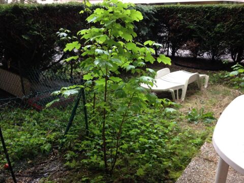  Appartement � louer 1 pi�ce 18 m�