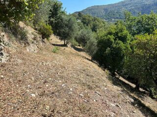  Terrain � vendre 1403 m�