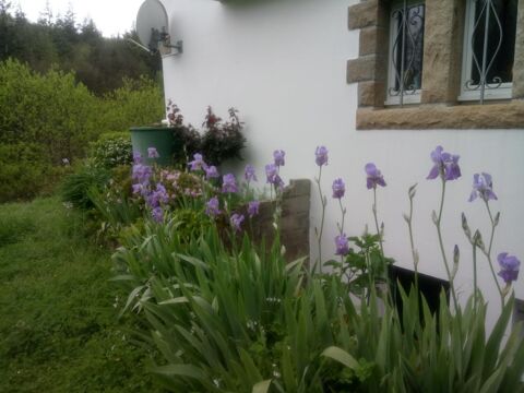  Appartement  louer 1 pice 11 m