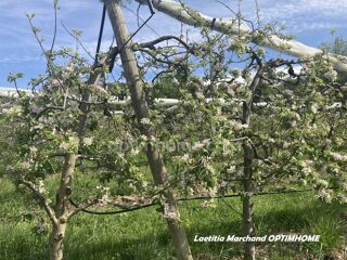  Terrain  vendre 40589 m