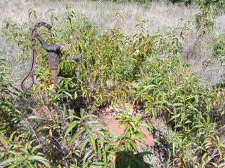  Terrain � vendre 824 m�