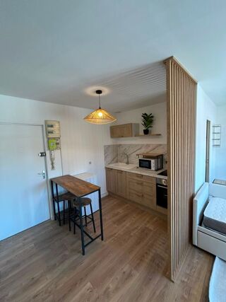  Appartement à louer 1 pièce 29 m²