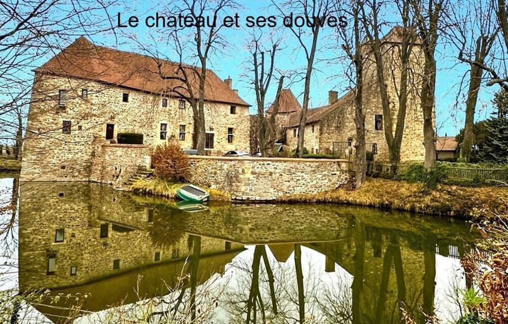 Château à vendre au coeur du bocage bourbonnais sur un parc de 1,5 Ha