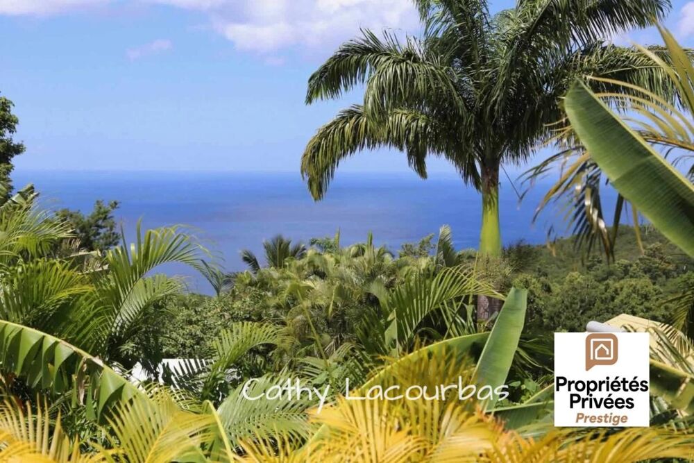 � vendre  Villa Pointe-Noire (97116)