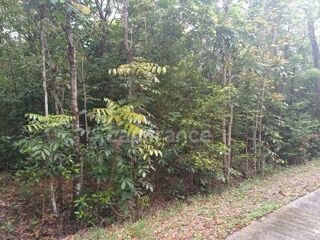  Terrain � vendre 2000 m�