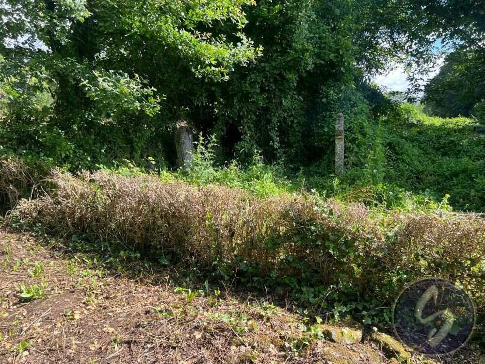 Vente Terrain TERRAIN ARBORE Saivres