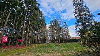  Propri�t�/ch�teau � vendre 6 pi�ces 145 m�