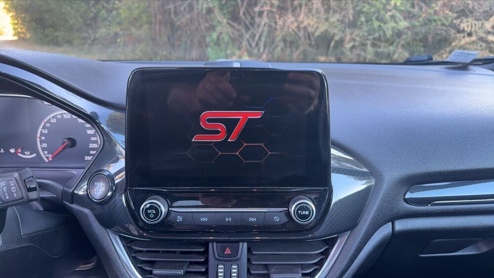 Fiesta VII 1.5 EcoBoost 200 St Plus - Toit ouvrant 2019 occasion 45260 La Cour Marigny