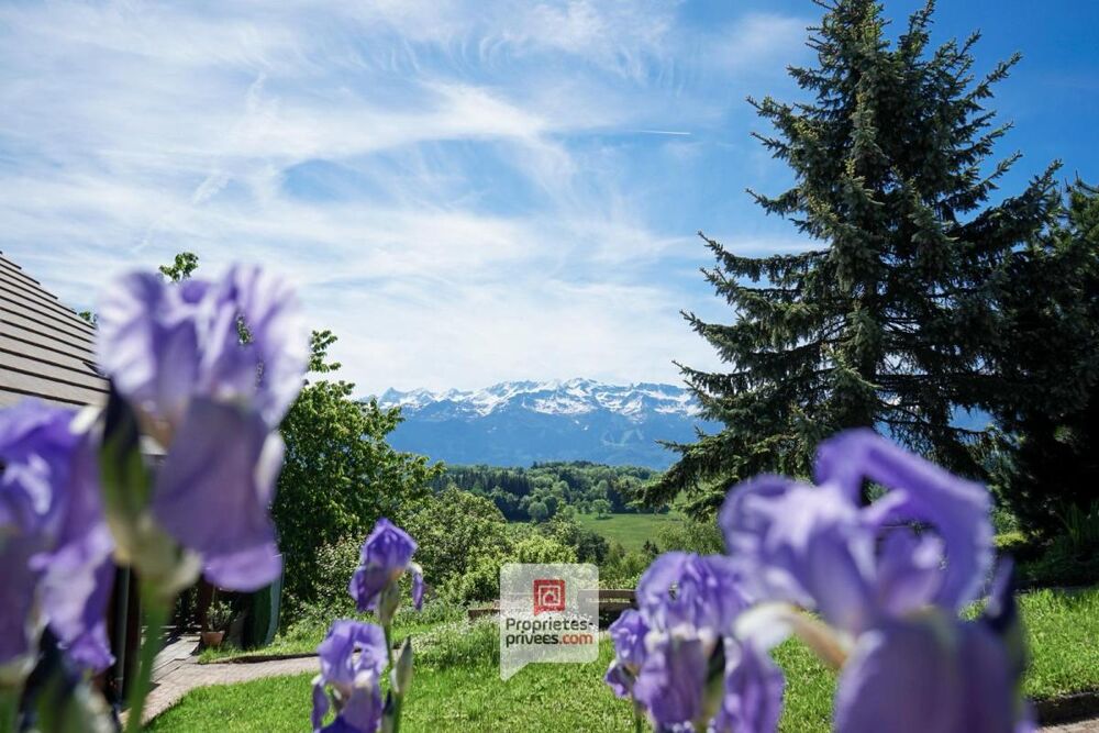 Plateau des Petites Roches (38660) - Chalet T6 en madriers + studio + carport + jardin