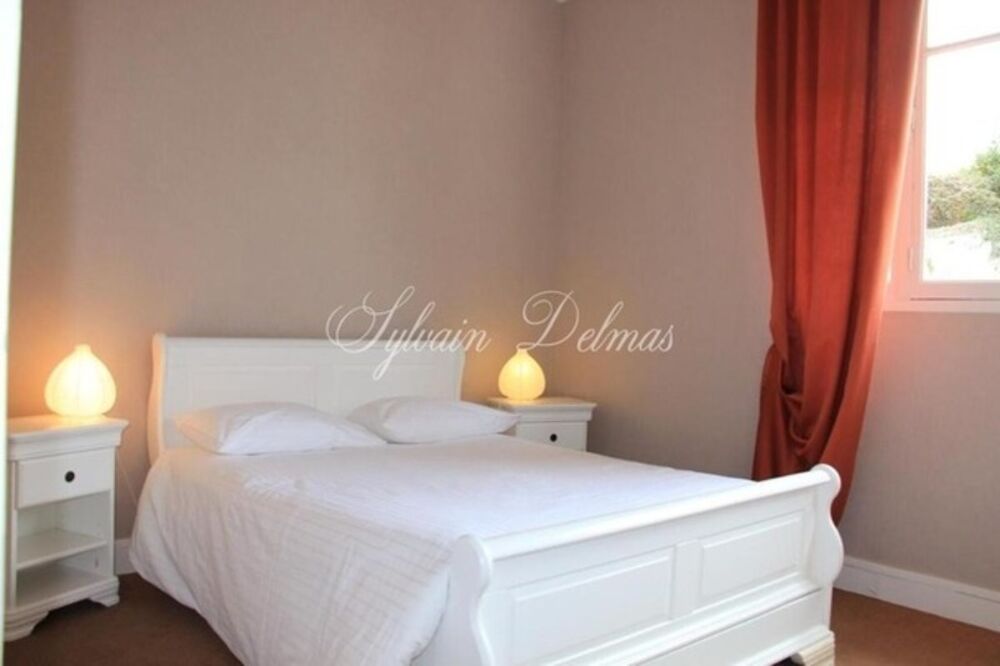 � vendre  Propri�t�/ch�teau Amboise (37400)