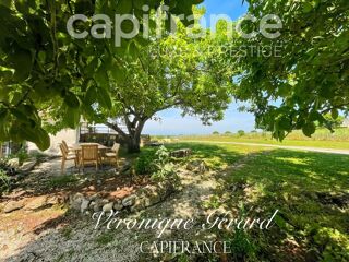  Propri�t�/ch�teau � vendre 8 pi�ces 310 m�