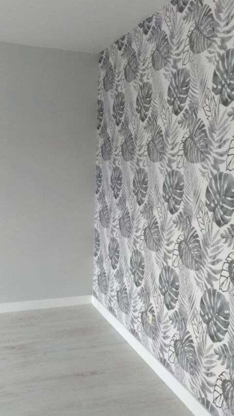  Appartement � louer 2 pi�ces 54 m�