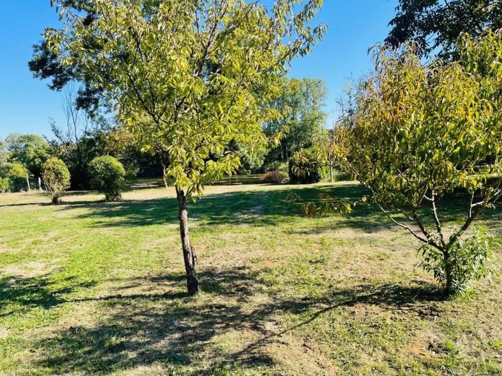 Vente Terrain Terrain à vendre * Au bord de la Vienne * Un Véritable Havre de Paix * Terrain Arboré de 1 269 m²  CHAUVIGNY (86) Chauvigny