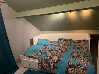  Appartement à louer 1 pièce 11 m²