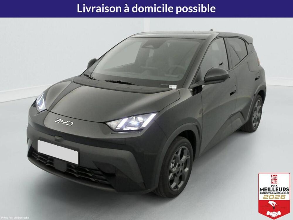 Dolphin SURF 43.2 kWh 156 ch Comfort 2025 occasion 10150 Lavau