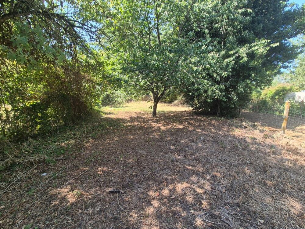 Vente Maison Maison 4 chambres avec jardin/terrasse Souché NIORT (79) Niort