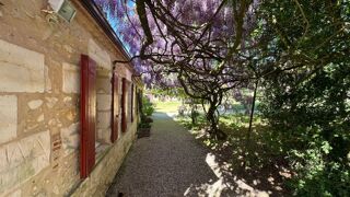 Propriété/château à vendre 11 pièces 300 m²