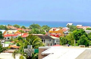  Appartement � vendre 1 pi�ce 22 m�