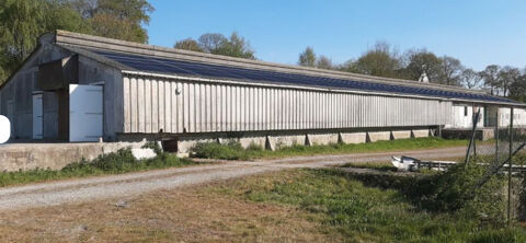 B&acirc;timent agricole de stockage sur&eacute;lev&eacute;, avec quai de chargement 56000 22600 La motte