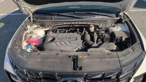 Tucson 1.6 CRDi 136 Mild Hybrid DCT7 N Line 2021 occasion 59500 Douai