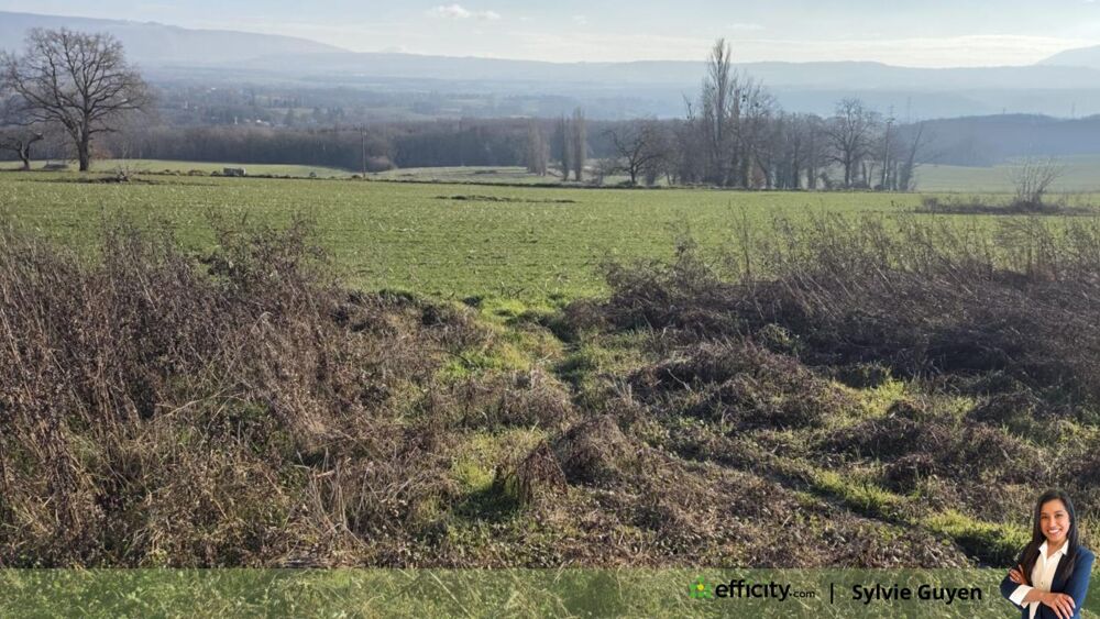 Vente Terrain Terrain Challex