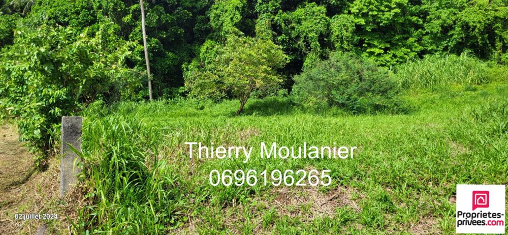 Vente Terrain Trinité, Terrain constructible avec vue mer 11914 m2 La trinite