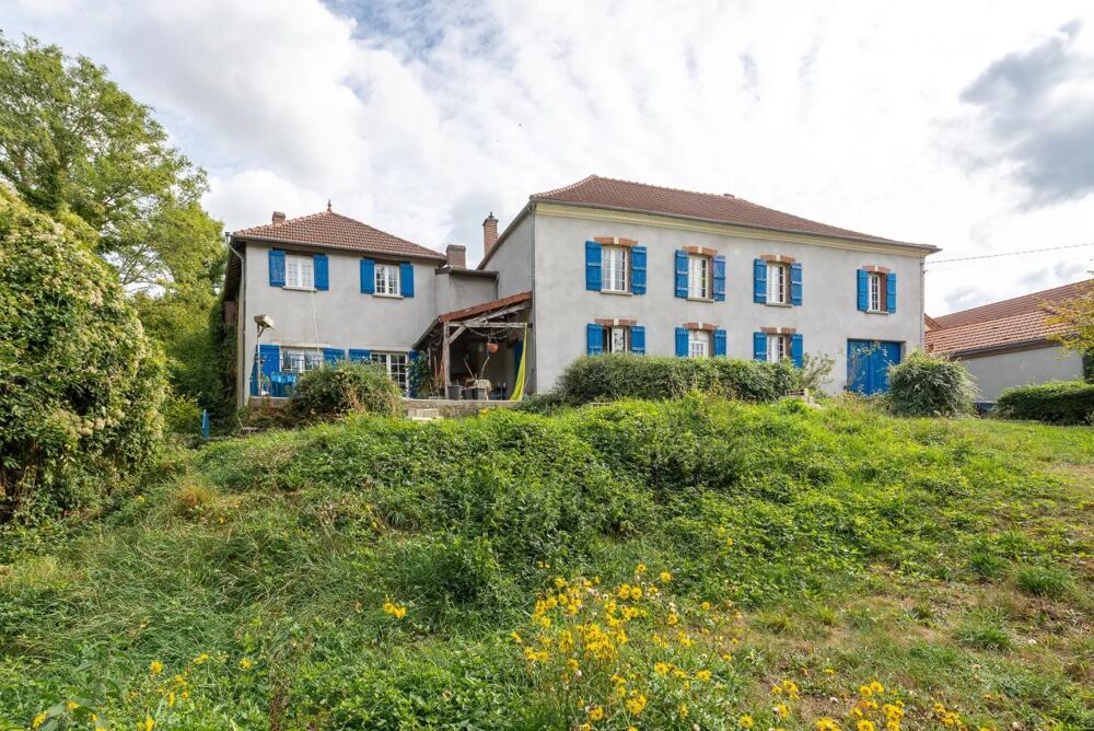 Vente Propriété/Château Élégante maison de maître sur un parc de 5 000 m² à Festigny Festigny