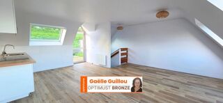  Duplex/triplex � vendre 3 pi�ces 61 m�