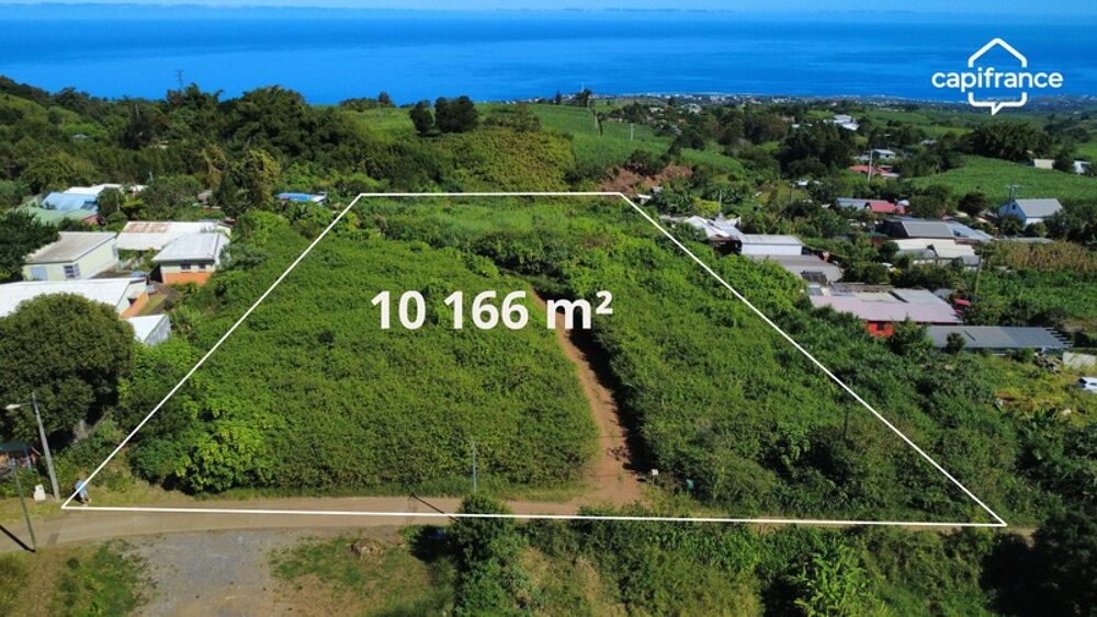 Vente Terrain Terrain avec vue mer – La Saline les Hauts : 4 500 m² construtible La saline