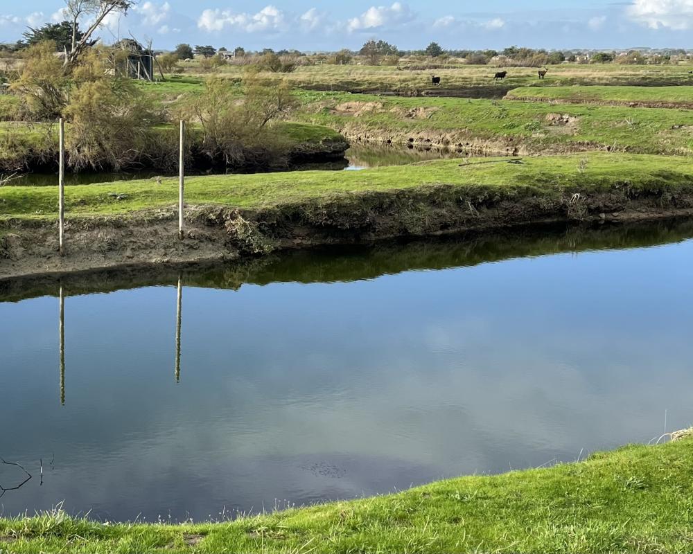 Vente Terrain Terrain L ile d olonne
